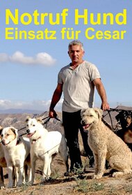 Cesar 911/ Cesar To The Rescue