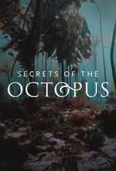 Secrets of the Octopus