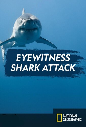 Eyewitness: Shark Attack