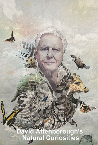 David Attenborough's Natural Curiosities