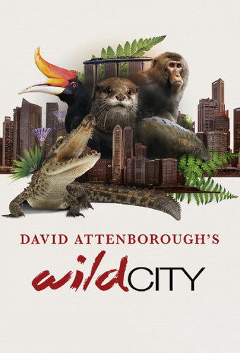 David Attenborough's Wild City