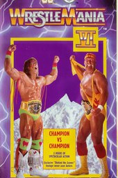 WWE WrestleMania VI