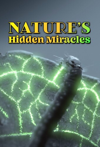 Nature's Hidden Miracles