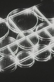 Five Minutes of Pure Cinema