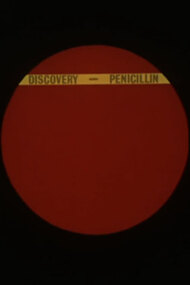 The Discovery of Penicillin