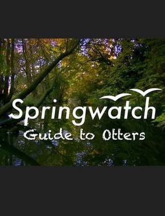 Springwatch - Guide to Otters