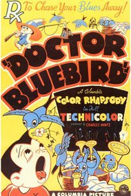 Doctor Bluebird