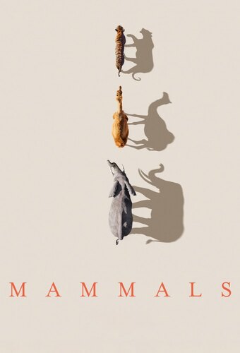 Mammals