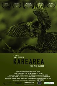 Karearea: The Pine Falcon