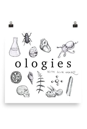 Ologies with Alie Ward