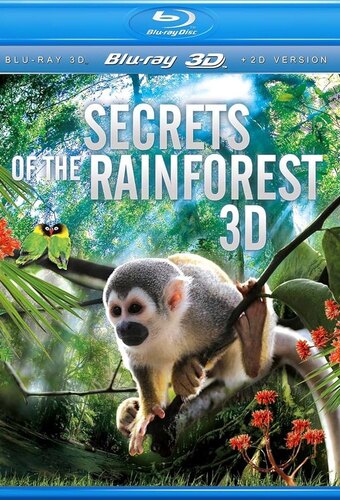 Secrets of the Rainforest