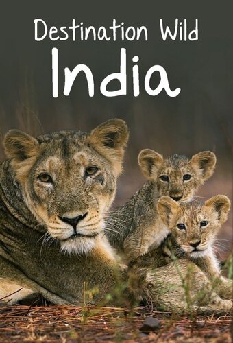Destination Wild: India