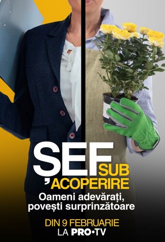 Sef sub acoperire