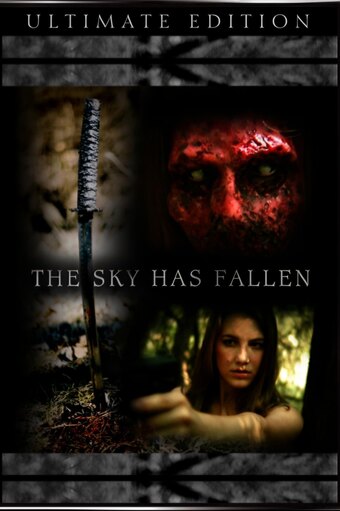 The Sky Has Fallen