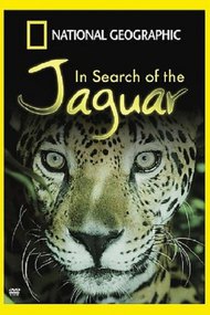 In Search of the Jaguar