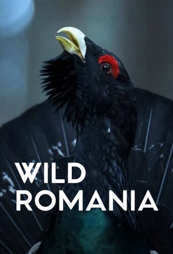 Wild Romania