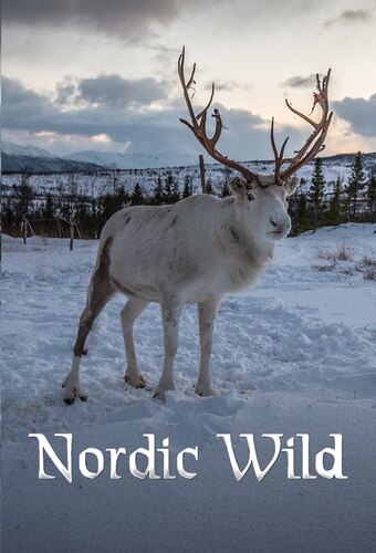 Nordic Wild