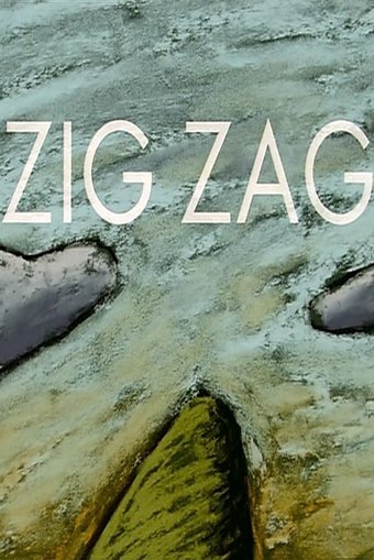 Zig Zag