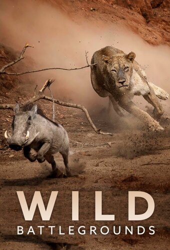 Wild Battlegrounds