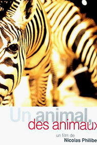 Animals and More Animals