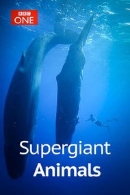 Supergiant Animals