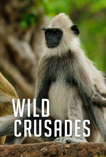 Wild Crusades