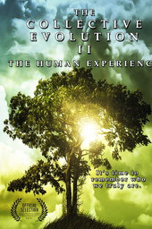 The Collective Evolution II: The Human Experience