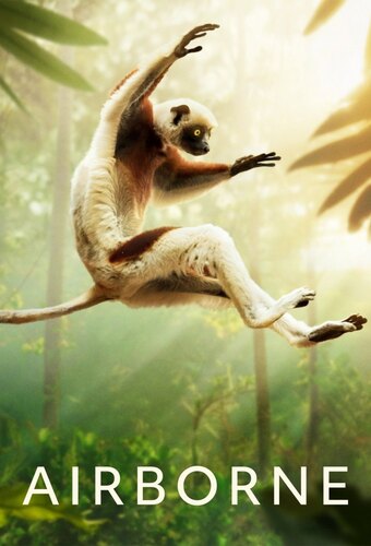 Airborne