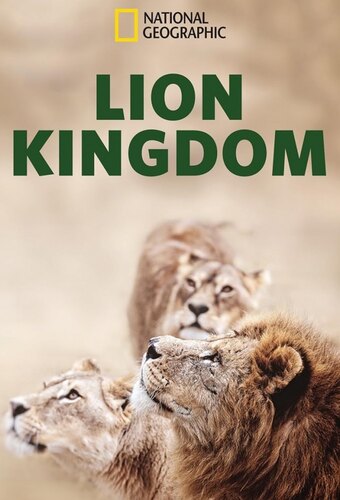 Lion Kingdom
