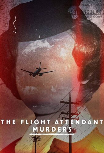 The Flight Attendant Murders