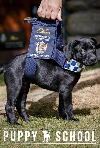 Dog Squad Puppy School