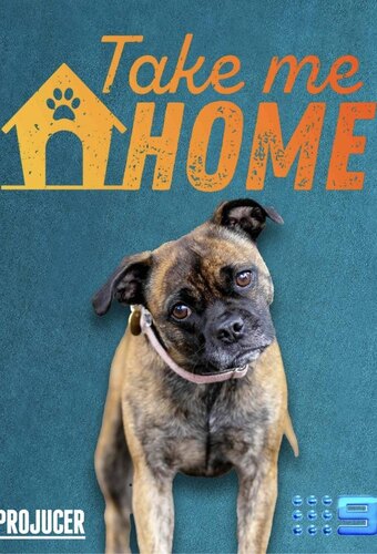 Take Me Home