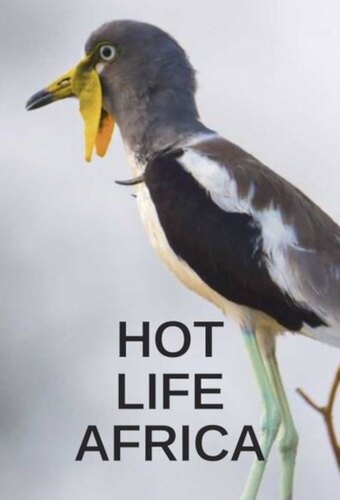 Hot Life Africa