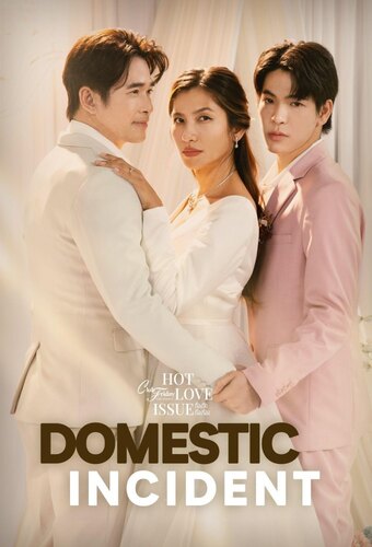 Domestic Incident