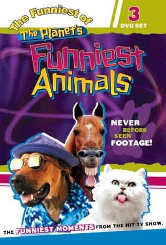  The Planet's Funniest Animals 