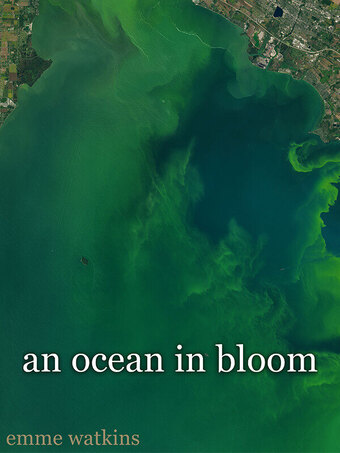 An Ocean in Bloom