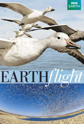 Earthflight