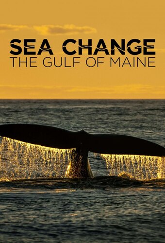NOVA Special: Sea Change: The Gulf of Maine