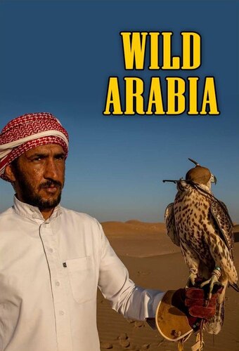 Wild Arabia