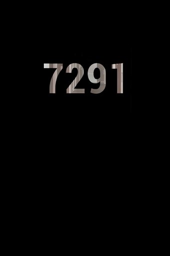 7291