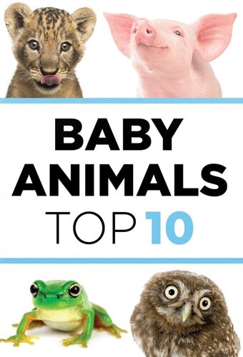 Baby Animals: The Top 10
