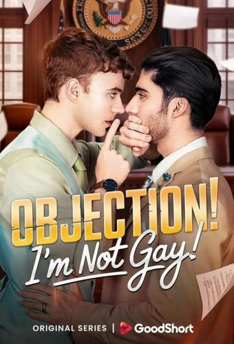 Objection! I'm Not Gay!