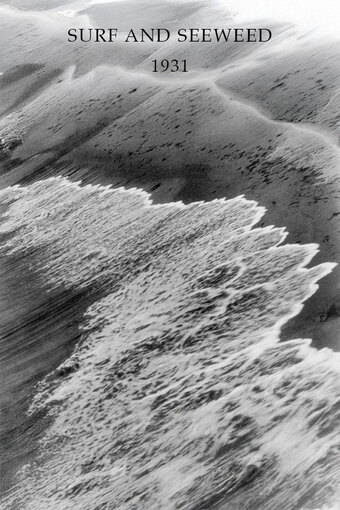 Surf and Seaweed