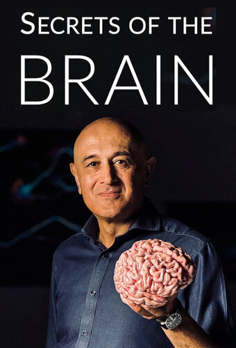 Secrets of the Brain