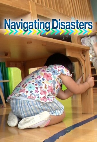 Navigating Disasters
