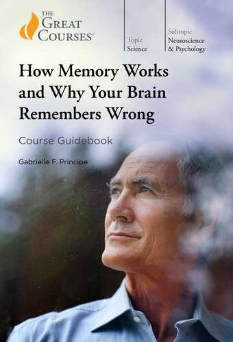 How Memory Works and Why Your Brain Remembers Wrong
