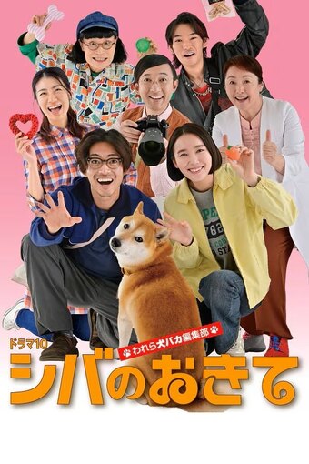 Shiba Inu's Rule