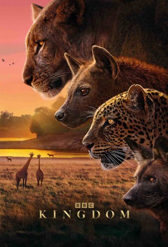 Kingdom