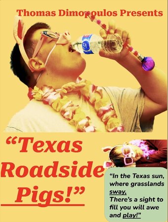 Texas Roadside Pigs!