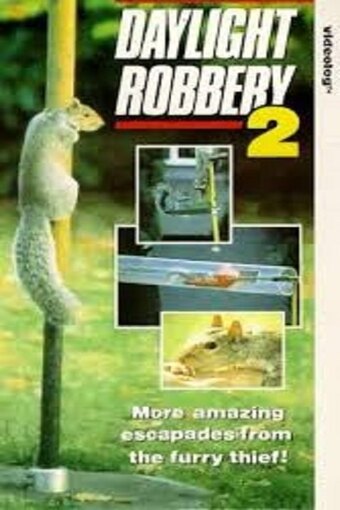 Daylight Robbery 2